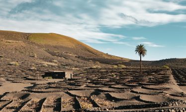 Moments de joie partagés pendant des vacances danse